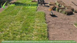 Need a Professional Turf Laying Contractor Sydney?