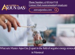 What sets Master Arjun Das Ji apart in the field of negative energy removal in Montreal