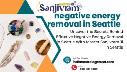 Uncover the Secrets Behind Effective Negative Energy Removal in Seattle With Master Sanjivram Ji ...