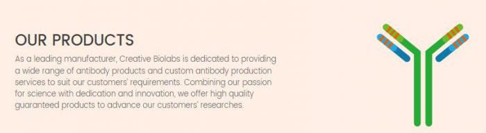 Recombinant Antibody Production Platform