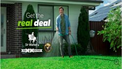 Premier Northern NSW Turf Supplier: NewLawn Turf – Quality and Expertise Guaranteed