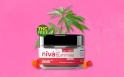 Niva CBD Gummies Review – Is Niva CBD Gummies Worth Trying?