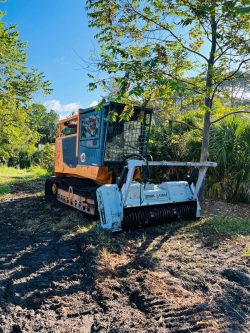 Florida Land Clearing Services | Transform Your Property for Any Project!