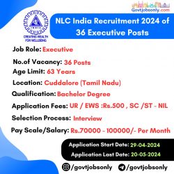 NLC India Limited Recruitment 2024: Apply for 36 Executive Posts