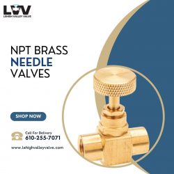 Npt Brass Needle Valves