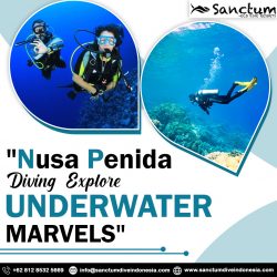 Nusa Penida Dive