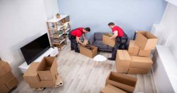 Searching for Best Packers and Movers in Trichy?