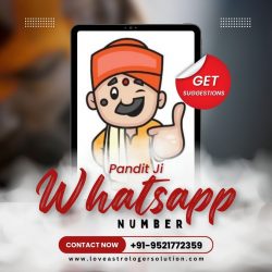 Pandit Ji Whatsapp Number – Free astrology service on whatsapp