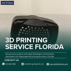 Perfecting Reality: Premier 3D Printing Service in Florida