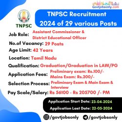TNPSC CCSE Group 1B & 1C Recruitment 2024: Apply Now