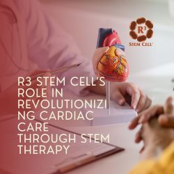 R3 Stem Cell’s Role in Revolutionizing Cardiac Care Through Stem Therapy