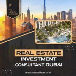 Premier Real Estate Investment Consultant, Dubai – The Assets Advisors