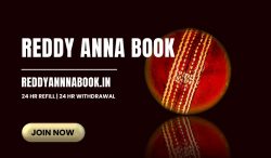 Enter the Exciting World of Casino Betting with Reddy Anna Book