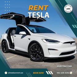 Rent Tesla in Dubai Abu Dhabi UAE