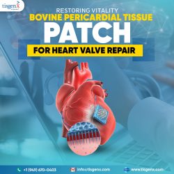 Restoring Vitality Bovine Pericardial Tissue Patch for Heart Valve Repair