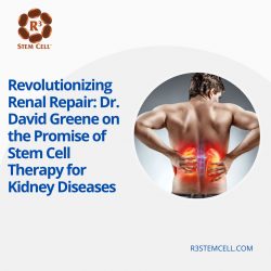 Revolutionizing Renal Repair: Dr. David Greene on the Promise of Stem Cell Therapy for Kidney Di ...