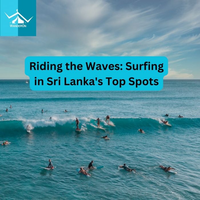 Riding the Waves: Surfing in Sri Lanka’s Top Spots