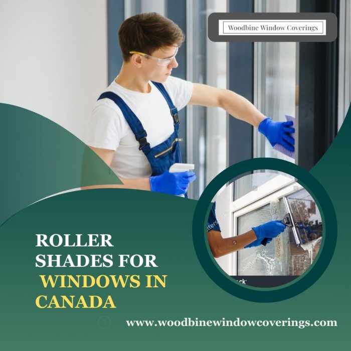 Roller Shades For Windows In Canada