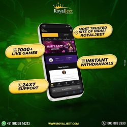 RoyalJeet: Download the Online Casino App to Enhance Your Game