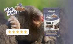 Stop Mole: The Reliable Solution to Eliminate Moles