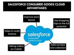 Salesforce Consumer Goods Cloud