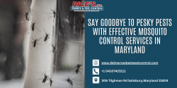 Say Goodbye to Pesky Pests With Effective Mosquito Control Services in Maryland