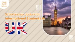 Scholarship Options for International Students in the UK