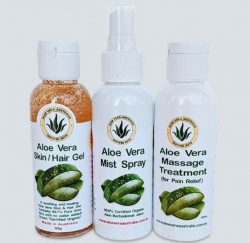 Can Aloe Vera Gel Keep Your Hair Healthy?
