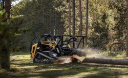 Professional land clearing services in Ace Georgia