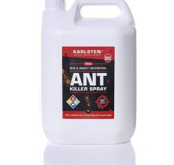 Top Signs You Need Ant Pest Control