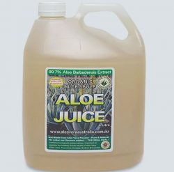Can You Have an Aloe Vera Beverage?