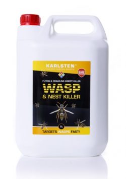 Is Wasp Killer Uk Dangerous for Humans?