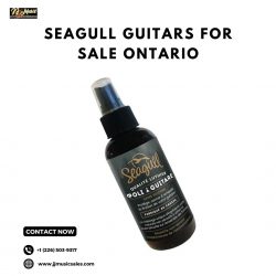 Seagull Guitars for Sale in Ontario