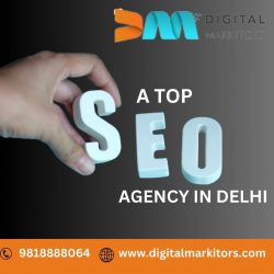 Choose The Top SEO Agency In Delhi For Increase Your Online Visibility and engagement