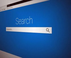 Unveiling the Potential of Search Engine Optimization Services