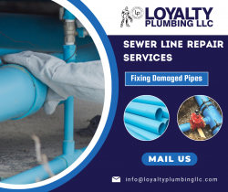 Repair Your Damaged Sewer Line Solution