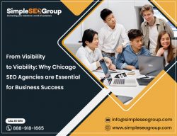 From Visibility to Viability: Why Chicago SEO Agencies are Essential for Business Success