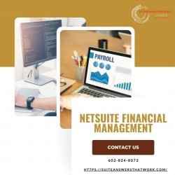 Simplifying NetSuite Financial Management with Suite Answers That Work