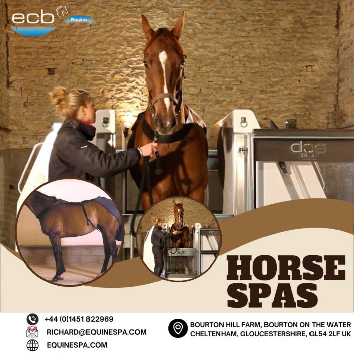 Best Quality Horse Spa With Low Cost at ECB Equine Spas