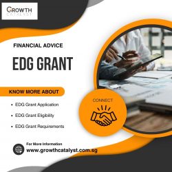 Take Your Business to the Next Level with the EDG Grant