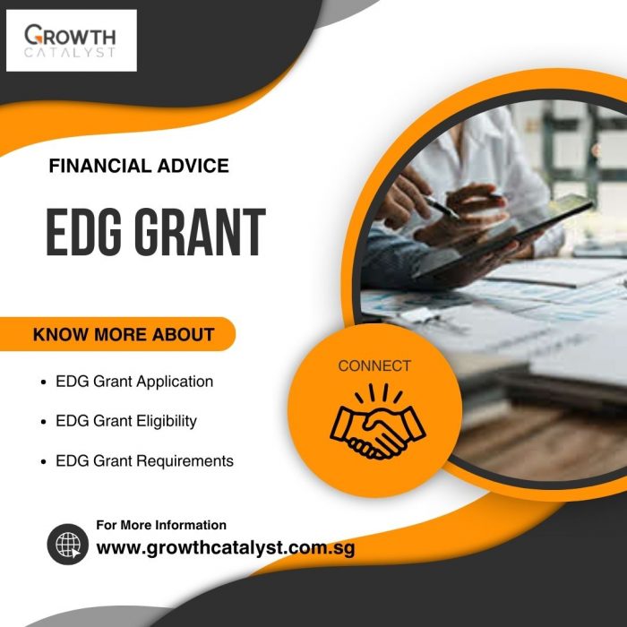 Take Your Business to the Next Level with the EDG Grant
