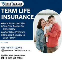 Protect Your Loved Ones: Term Insurance Solutions in Canada | Vertex Insurance