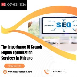 The Importance Of Search Engine Optimization Services In Chicago