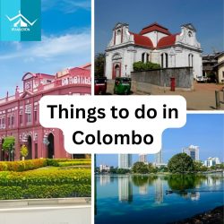 Unveiling the Best Things to Do in Colombo