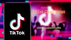 100% customizable Readymade Tiktok Clone Script