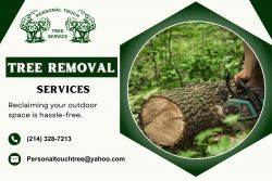 Timber Extraction Services