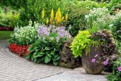Tips for Planting Flowers among Landscaping Stones