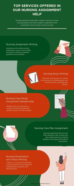 Top Services offered in our Nursing Assignment Help