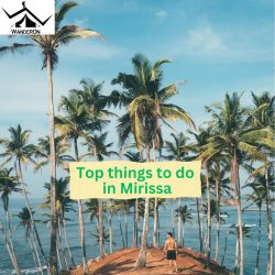 Top things to do in Mirissa
