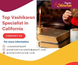 Top Vashikaran Specialist in California – Psychic Shivaram